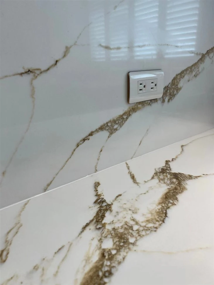 calacatta gold countertop detail